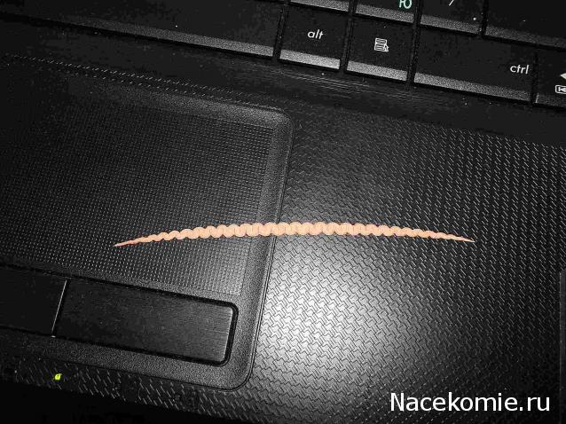 Корабль 12 Апостолов - фотоотчет konstantinfom