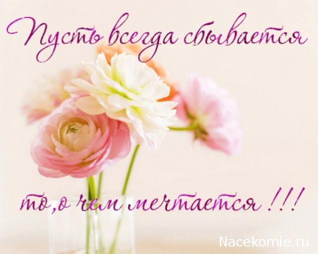 Дом Мечты наши дни рождения