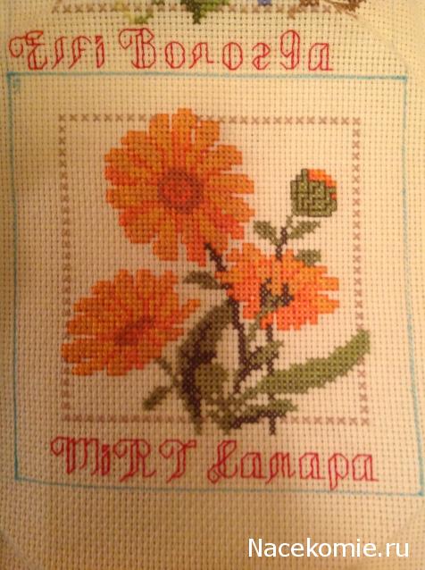 Round Robin- координатор  shabsik