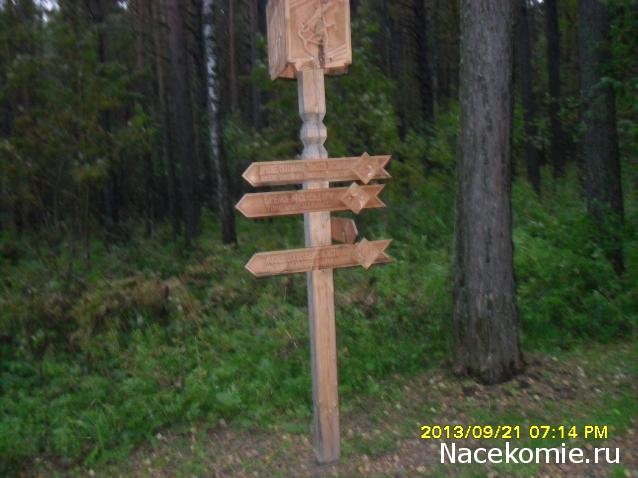 Nata