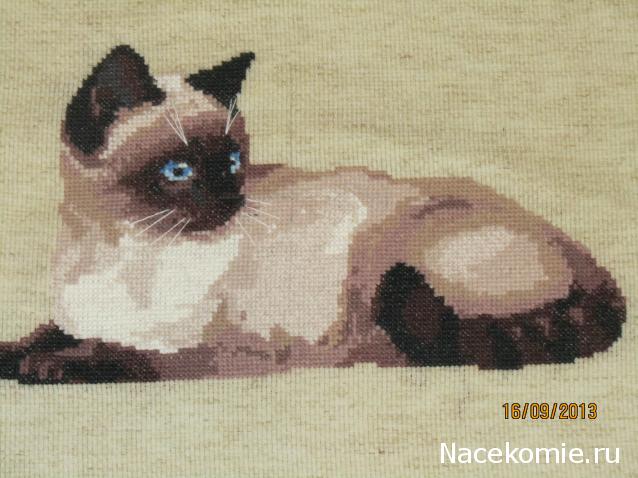 Хвастушки - наши творения