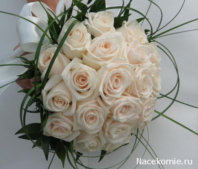 Дом Мечты наши дни рождения