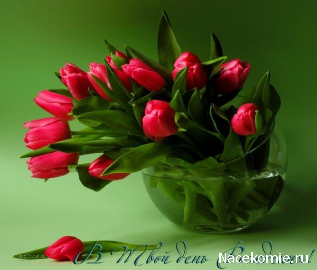 Дом Мечты наши дни рождения