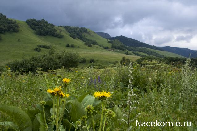 Куклы в народных костюмах – "Девчушки-болтушки"