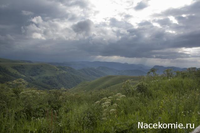Куклы в народных костюмах – "Девчушки-болтушки"
