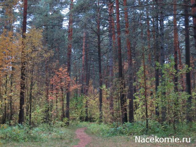 Куклы в народных костюмах – "Девчушки-болтушки"