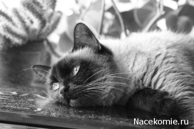 Другие воины разных эпох в миниатюре: фото, обсуждение