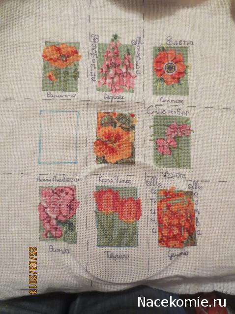 Round Robin_координатор Mabelle