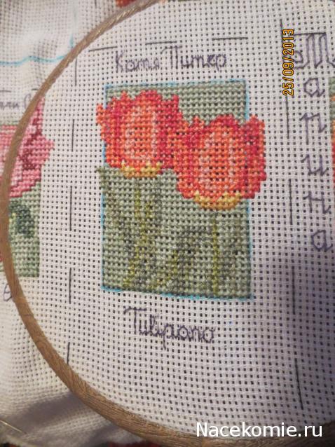 Round Robin_координатор Mabelle