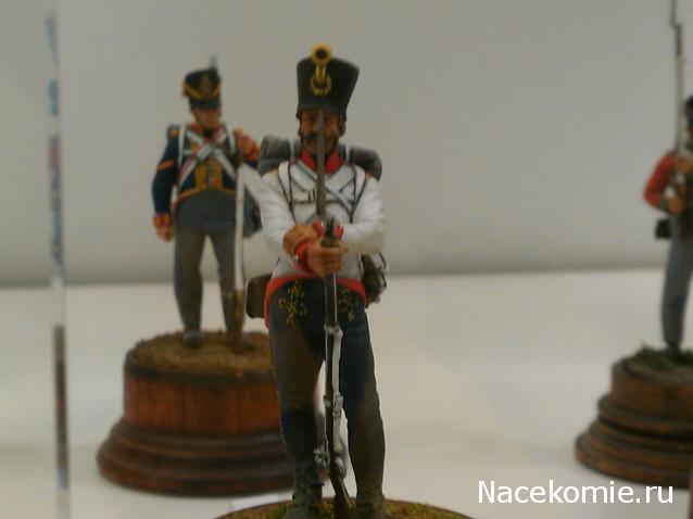 Фотоотчеты с Выставок