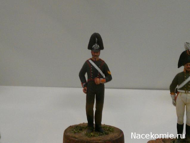 Фотоотчеты с Выставок