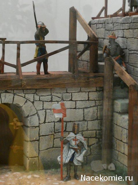 Фотоотчеты с Выставок