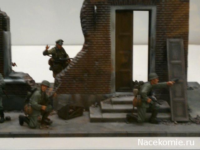 Фотоотчеты с Выставок