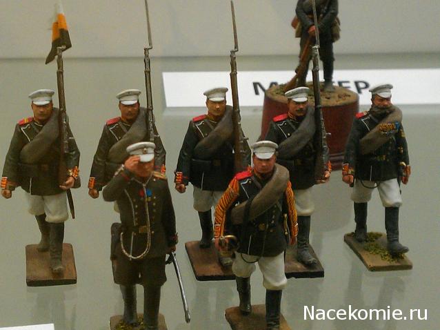 Фотоотчеты с Выставок