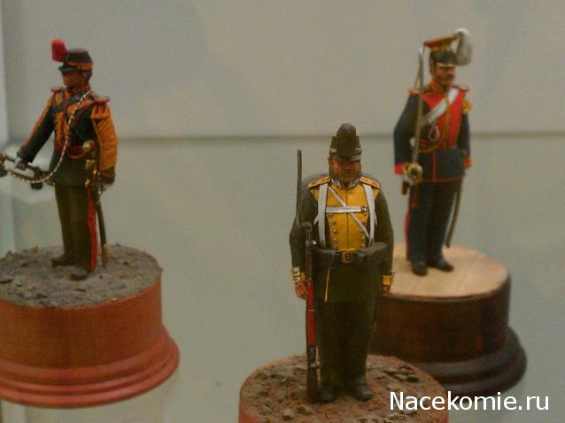 Фотоотчеты с Выставок