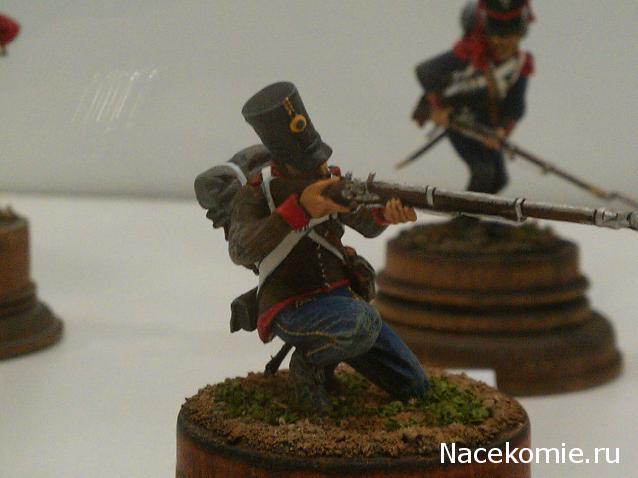 Фотоотчеты с Выставок