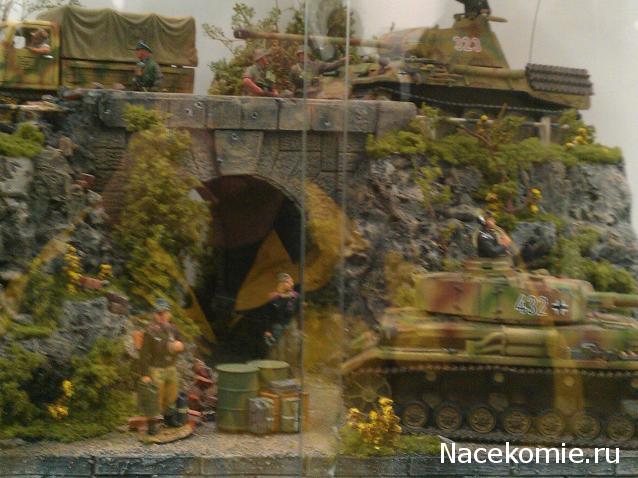 Фотоотчеты с Выставок