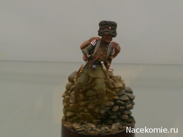 Фотоотчеты с Выставок