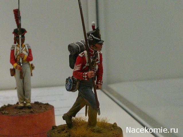 Фотоотчеты с Выставок