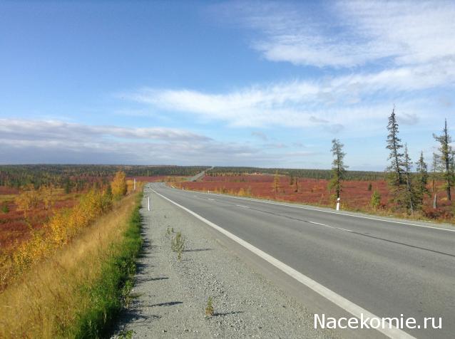 Дом Мечты Болталка: перезагрузка