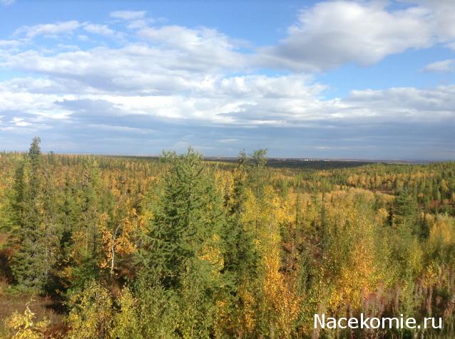 Дом Мечты Болталка: перезагрузка