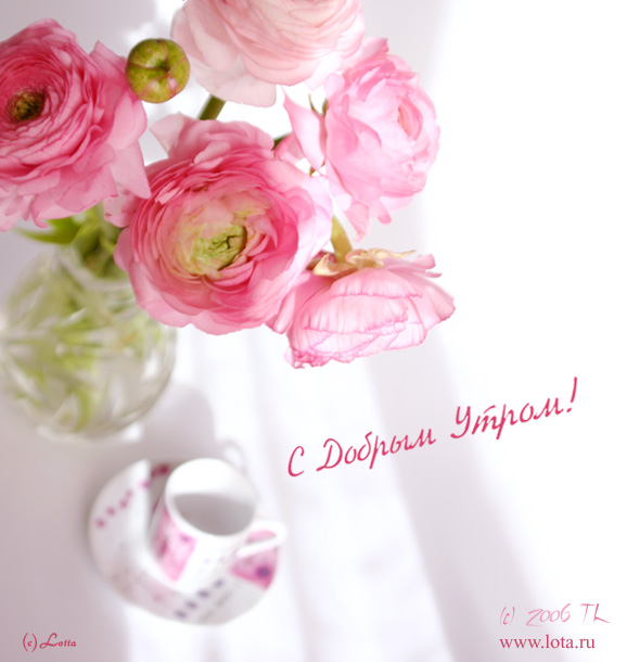 Дом Мечты Болталка: перезагрузка