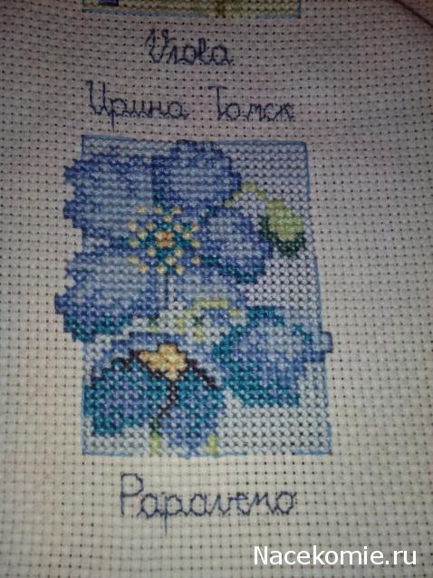 Round Robin_координатор Mabelle