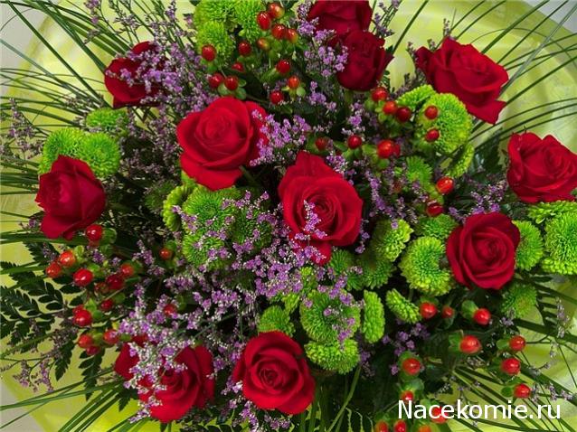 Round Robin_координатор Mabelle