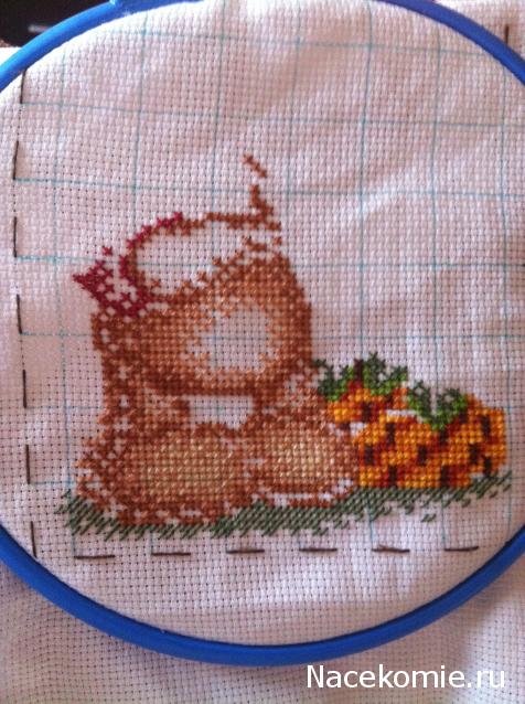 Round Robin_ координатор Irvi