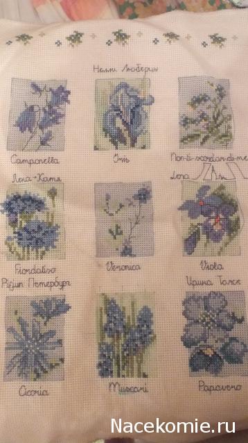 Round Robin_координатор Mabelle