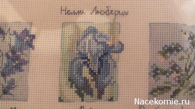 Round Robin_координатор Mabelle