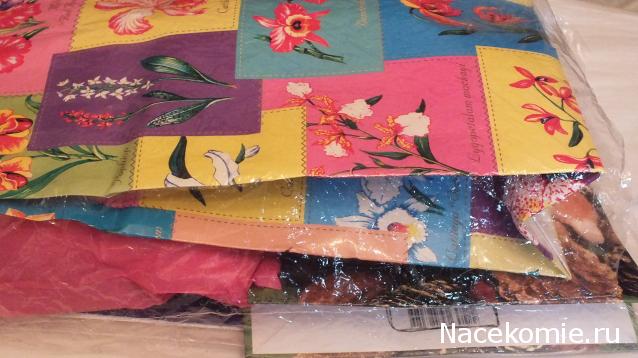 Round Robin_координатор Mabelle