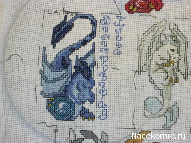 Round Robin_ координатор Irvi