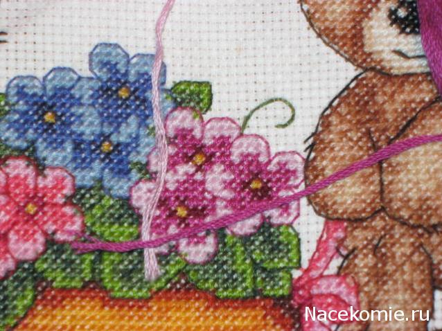 Round Robin_ координатор Irvi