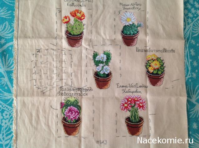 Round Robin_ координатор Irvi