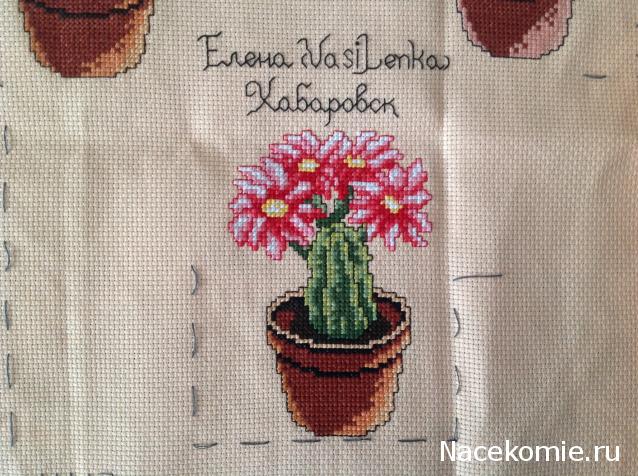 Round Robin_ координатор Irvi