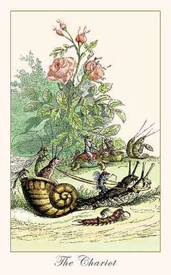 Cherchez la femme (болталка)