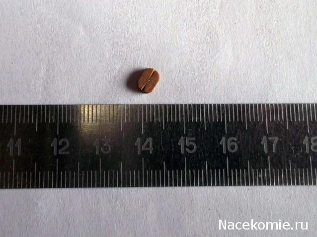 Корабль 12 Апостолов - фотоотчет konstantinfom