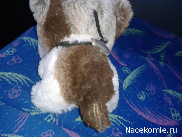 The Dog Collection Болталка