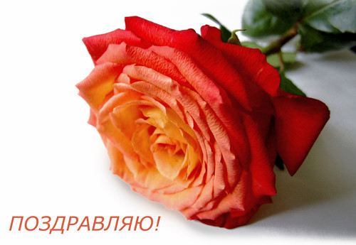 Round Robin- координатор  shabsik