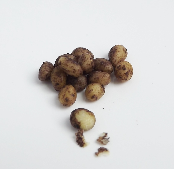 alelya - обо всем понемногу, или...