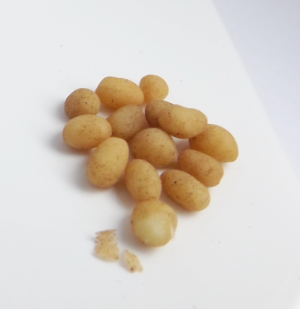 alelya - обо всем понемногу, или...