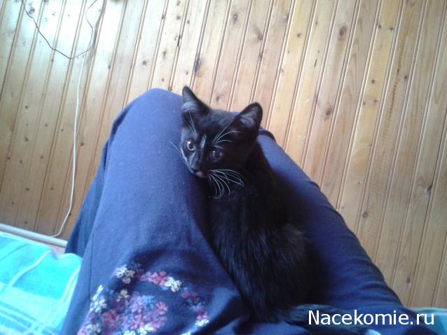 Pyllada - Рукоделки между делом.