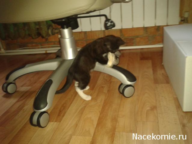 Pyllada - Рукоделки между делом.