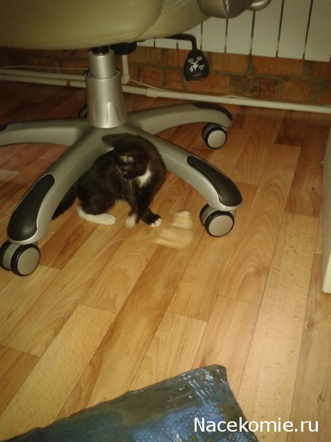 Pyllada - Рукоделки между делом.