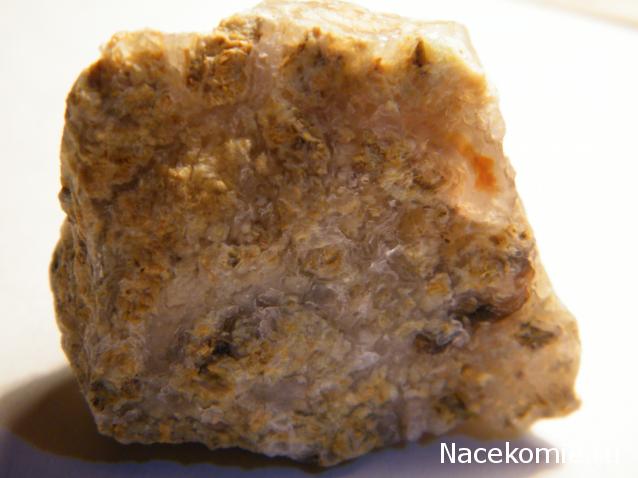 Минералы Сокровища Земли №4 - Опал