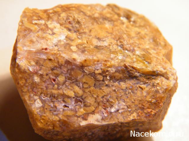 Минералы Сокровища Земли №4 - Опал