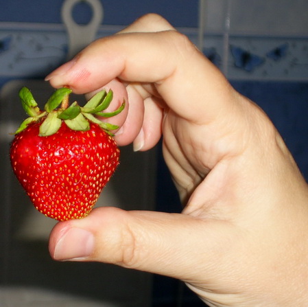 Дом Мечты Болталка: перезагрузка