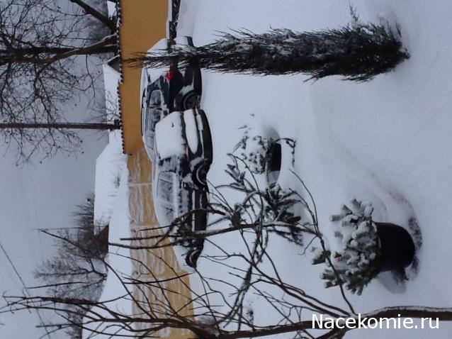 Cherchez la femme (болталка)