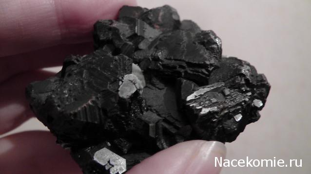 Компания кладоискателей. Болталка форума Минералов